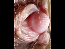 Extreme Close Up On My Hairy Pussy And Huge Clitoris 4K Video Test