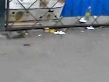 Buns eating white strap