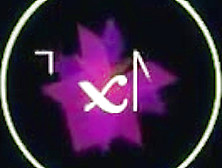 Ally Breelsen rencontre un riche français