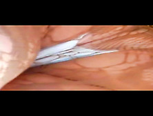 Pretty beauty is getting her sweet puss upskirted