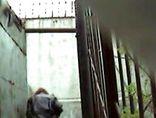 Girls Pissing Voyeur Video 23