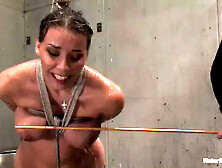 Delilah Strong In Fabulous Adult Video Domination Watch, Its Amazing