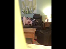 Bbw Wife Caught Masturbating On Spy Cam