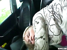 Help this Cock Find a Way Home