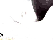 Regina Moonshine and Eva Strawberry with 4 ebony boyz moist