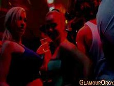 Party whores suck schlong