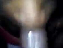 Nut and Suck (Good head)