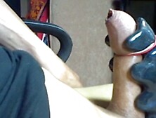 Nobra Twincharger milking machine