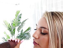 Blonde Beauty Daisy Lavoy is Every Mans Helen of Troy