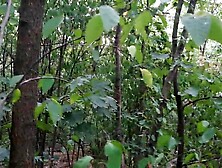 I wank in a public park