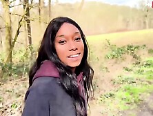 Magnificent Taigas Outdoor Action