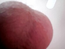 Verified Amateurs Featuring Jerk2Porn's Best Balls Sucking Porn