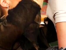 Clothed pissing porn in hardcore