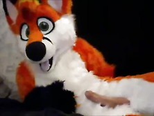 Fursuit