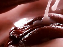 Cool 69Win69's Close Up Creampie Porn