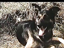 French Whores Of Pan