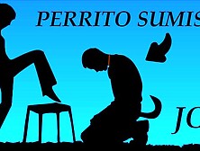 JOI - Transformate en perrito,  mi mascota personal.