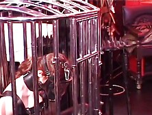 Couple of strict female dominatrixes are doing their slavegirl in the cell