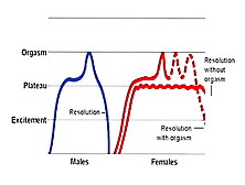 The Ultimate Guide To Multiple Orgasms In Men