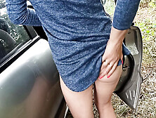 Outdoor Sex Next to Car
