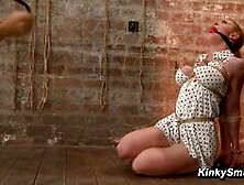 Bondage Babe Darling Gets Tied Up Hogtied And Tormented Hardcore Fetish Porn