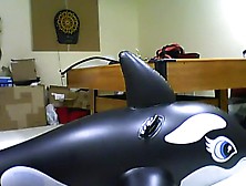 mating inflatable whale toy 2