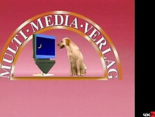 DIE GELBE FLUT - 06 - (GANZER VIDEO)