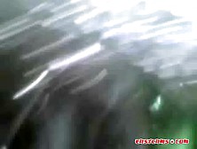 indonesia- dengan si cantik dikebon